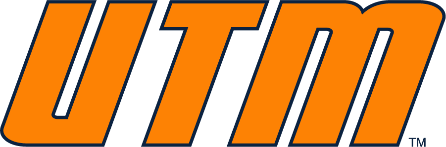 Tennessee-Martin Skyhawks 2007-2020 Wordmark Logo v2 DIY iron on transfer (heat transfer)